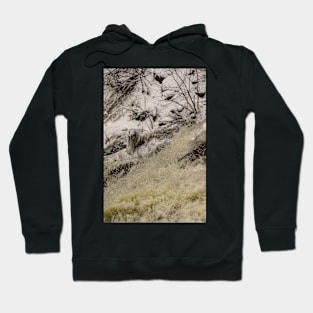 Dancing Water, Smokey Hollow Falls Hoodie